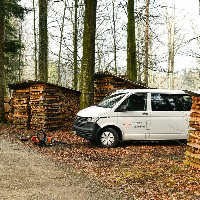 Weisser Lieferwagen steht im Wald, rundherum stehen Holzstapel