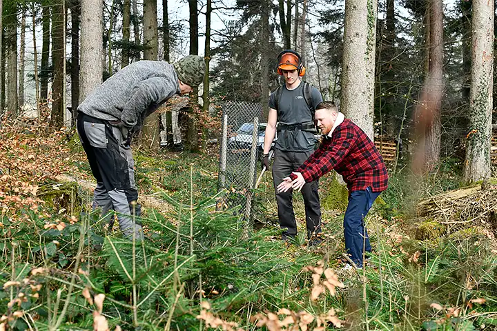 Drei Männer stehen im Wald und begutachten kleinen, neuen Baum
