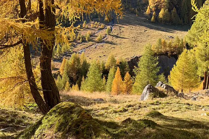 Herbstliches Landschaftsbild